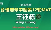 世俱杯直播-法甲联赛VAR使用率为何全欧最低？（足球var什么时候出来的）